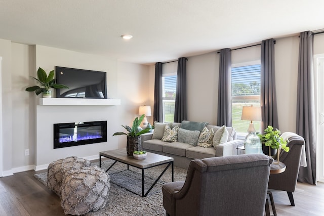 living room with hardwood / wood-style flooring