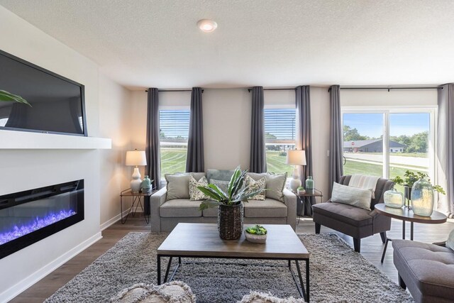 living room with a textured ceiling and dark hardwood / wood-style floors