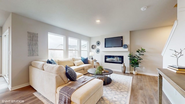 living room with hardwood / wood-style floors