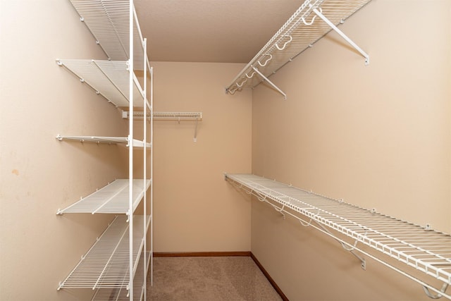 walk in closet with carpet