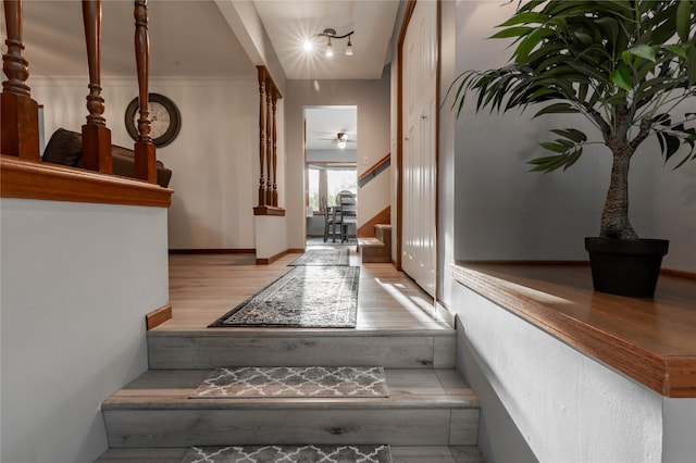 stairway with wood-type flooring, crown molding, and ceiling fan