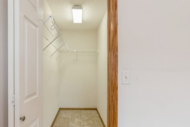 walk in closet featuring light carpet