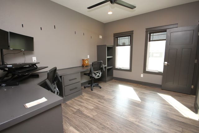 office space with light wood-type flooring and ceiling fan