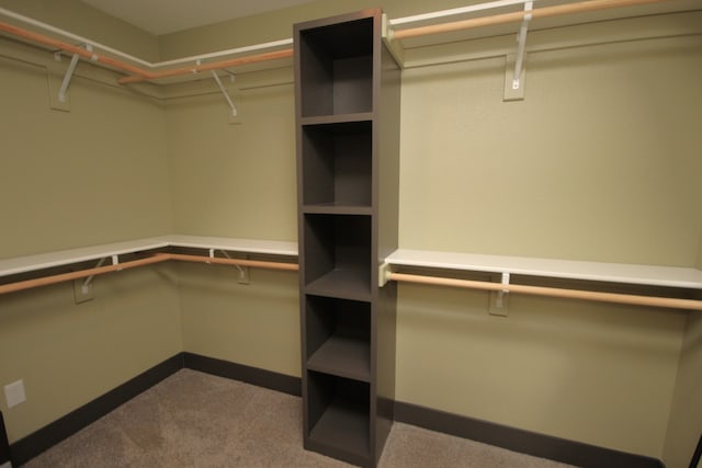 walk in closet featuring carpet flooring