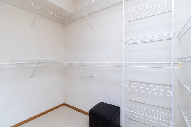 walk in closet featuring carpet flooring