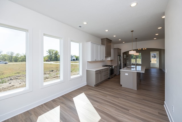 kitchen with sink, hardwood / wood-style floors, stainless steel appliances, an island with sink, and decorative light fixtures