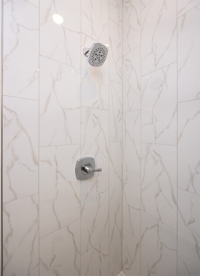 interior details featuring tiled shower