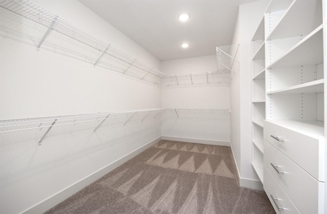 walk in closet featuring carpet