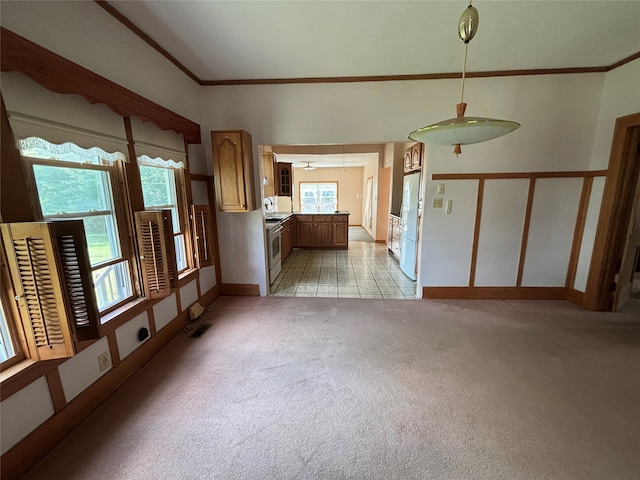 interior space with light carpet and ornamental molding