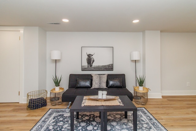 living room with wood-type flooring