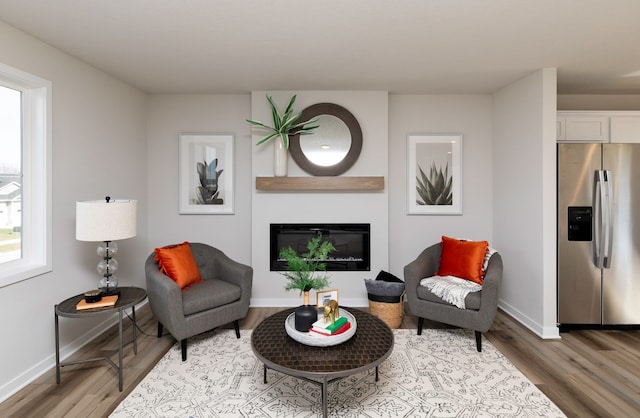 living room with wood-type flooring