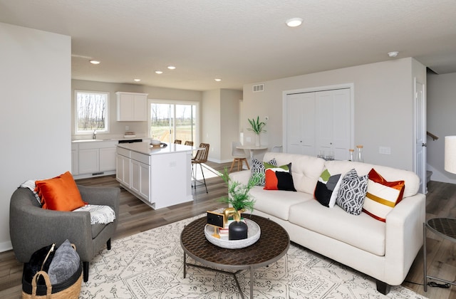 living room featuring wood-type flooring, a textured ceiling, and sink