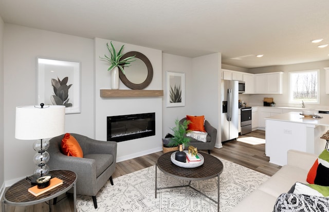 living room featuring wood-type flooring and sink