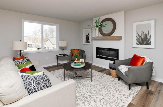 173 NE 56th St, Pleasant Hill, IA 50327 - living area featuring wood finished floors, a glass covered fireplace, and baseboards