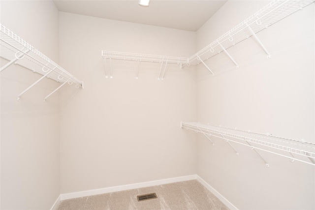 walk in closet with carpet flooring