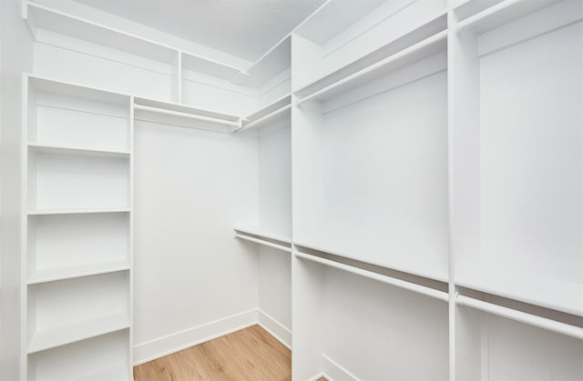 spacious closet with light hardwood / wood-style flooring