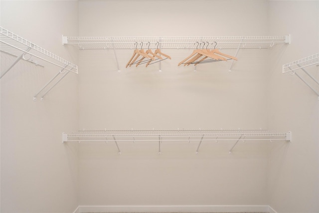 view of spacious closet