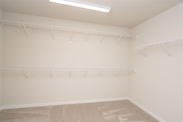 spacious closet featuring carpet floors