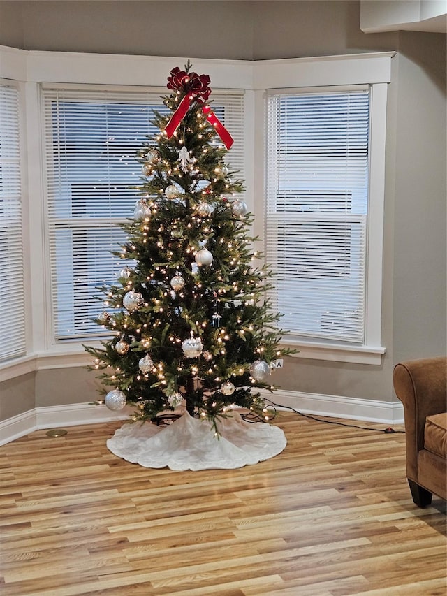 interior details featuring hardwood / wood-style floors