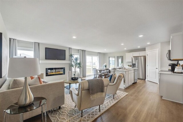 living room featuring sink and light hardwood / wood-style floors