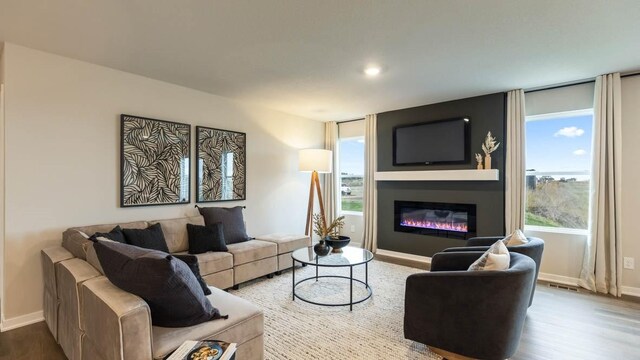 living room with hardwood / wood-style floors