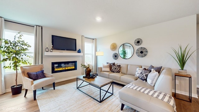 living room with light hardwood / wood-style floors