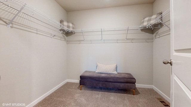 spacious closet featuring carpet