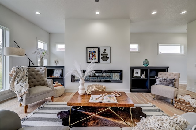 living room featuring hardwood / wood-style floors and a wealth of natural light