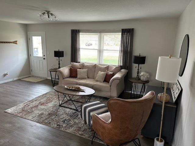 living room featuring wood-type flooring