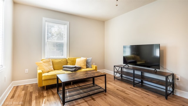 living room featuring light hardwood / wood-style floors