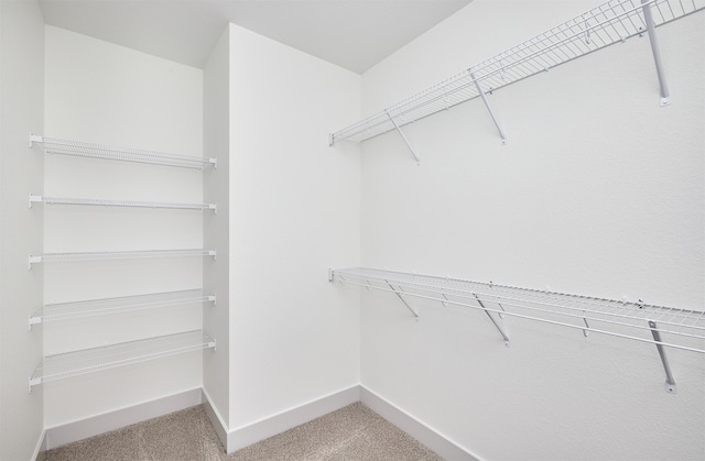 spacious closet with carpet floors