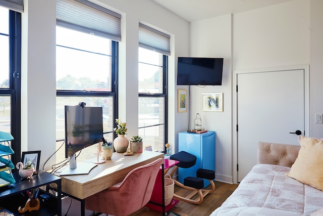 bedroom featuring dark wood-type flooring and multiple windows