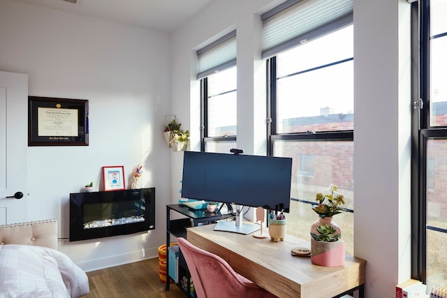 office featuring dark hardwood / wood-style flooring