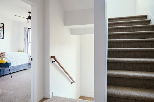 staircase featuring carpet floors