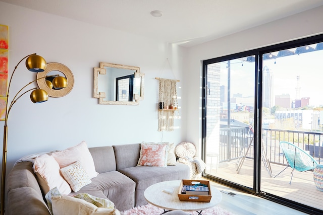 living room with hardwood / wood-style flooring