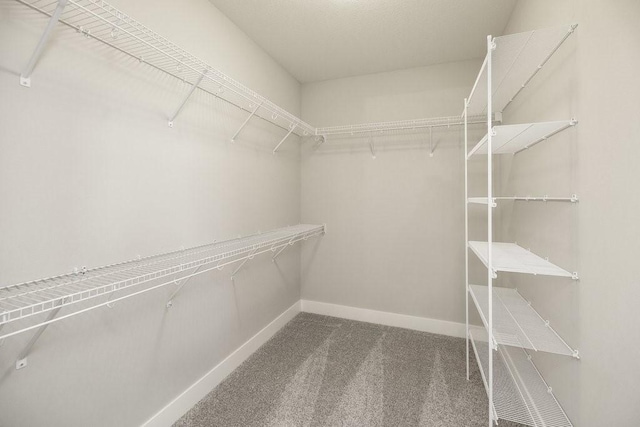 spacious closet with carpet floors