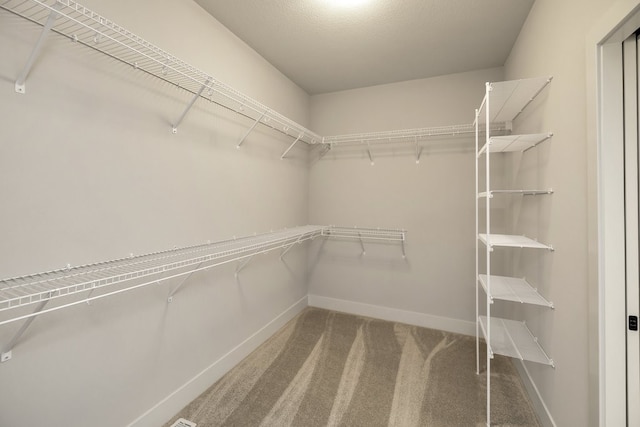 walk in closet featuring carpet