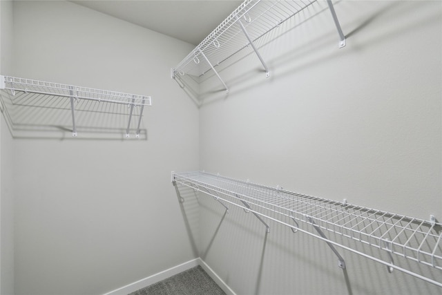 2105 White Oak Ln, Granger, IA 50109 - spacious closet with dark carpet