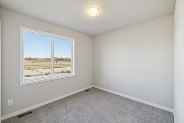 carpeted empty room featuring a rural view