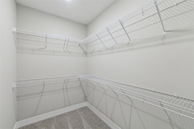 spacious closet featuring carpet