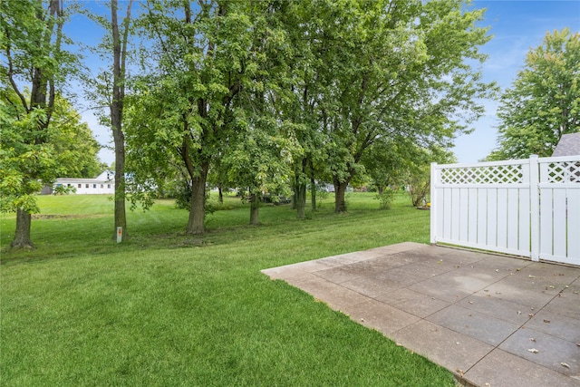 view of yard with a patio area