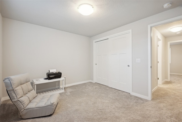 sitting room with light carpet and a textured ceiling