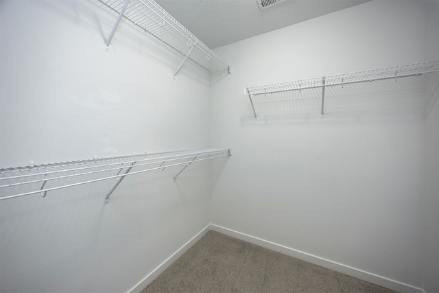 spacious closet featuring carpet floors