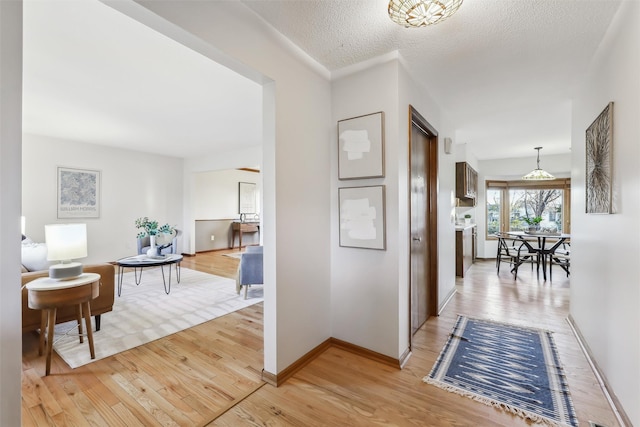 hallway featuring a textured ceiling and light hardwood / wood-style flooring