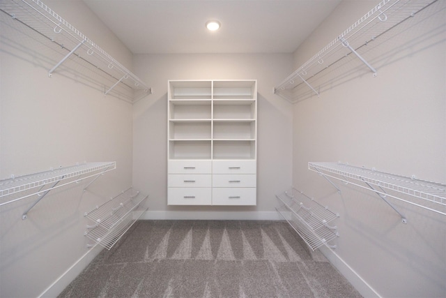 spacious closet featuring carpet flooring