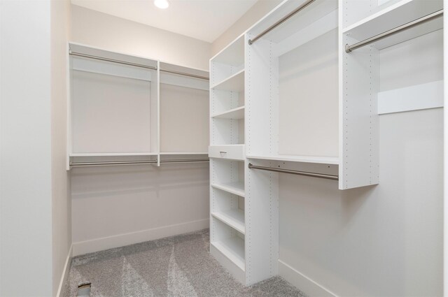 18016 Tanglewood Dr, Clive, IA 50325 - walk in closet with carpet floors