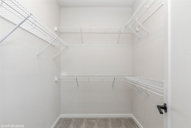 spacious closet featuring carpet floors