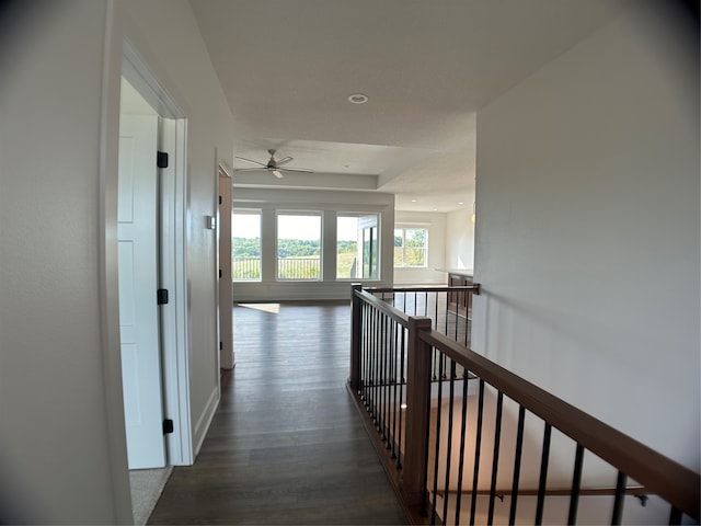 corridor with dark hardwood / wood-style flooring