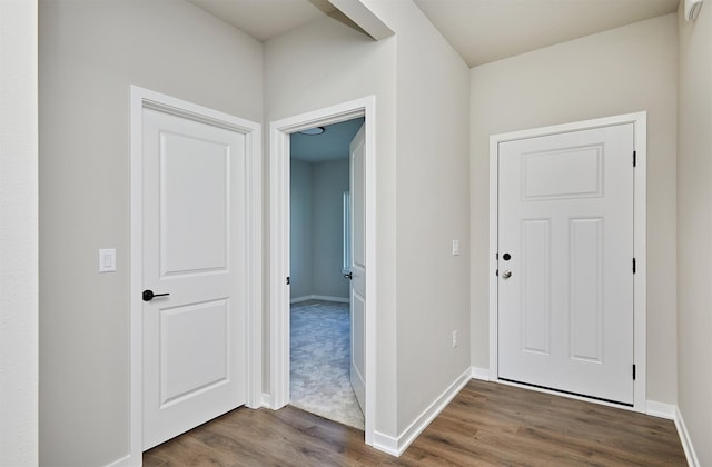 foyer featuring dark hardwood / wood-style flooring