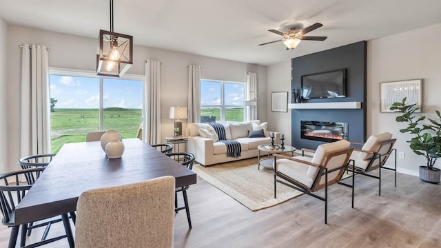 living room featuring light hardwood / wood-style floors and ceiling fan